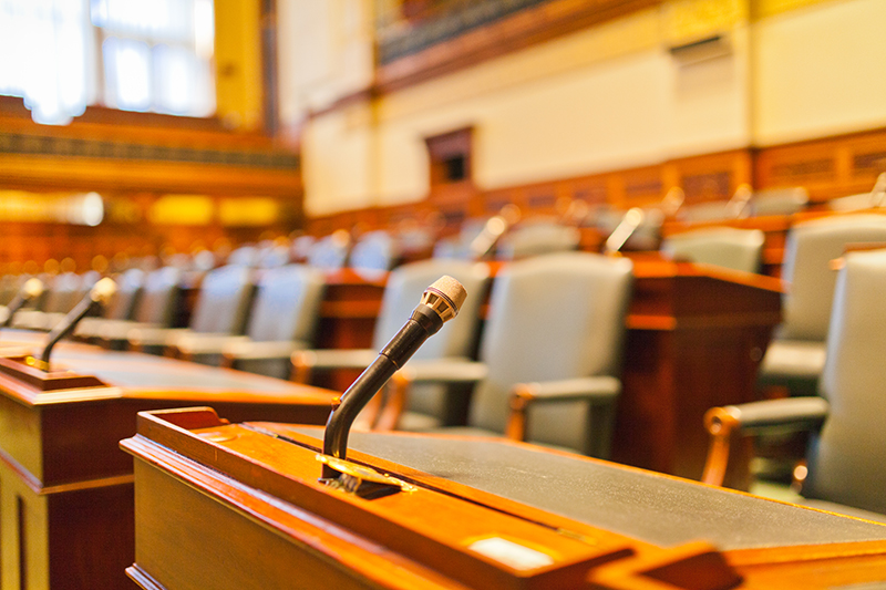 Perplexity in tribunale
