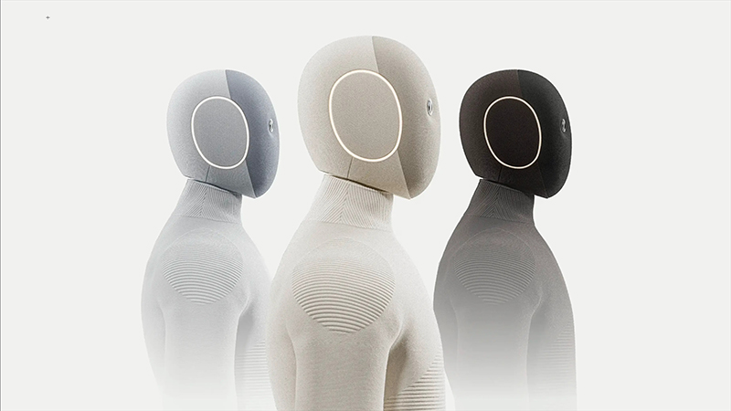 Robot umanoidi
